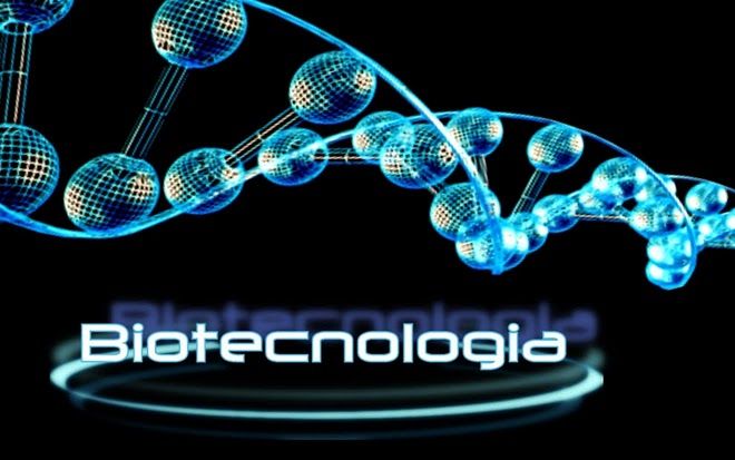 logoWEb